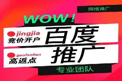 成功sem公司的策略与执行